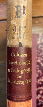 Buch: "Psychologie und Pädagogik", von Giovanni Antonio Colozza, 1895 und 1900